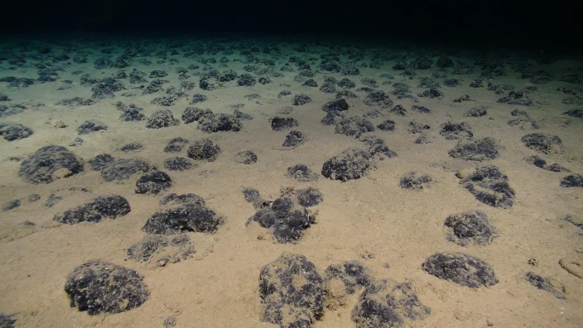 <p>Seafloor Mapping</p>
