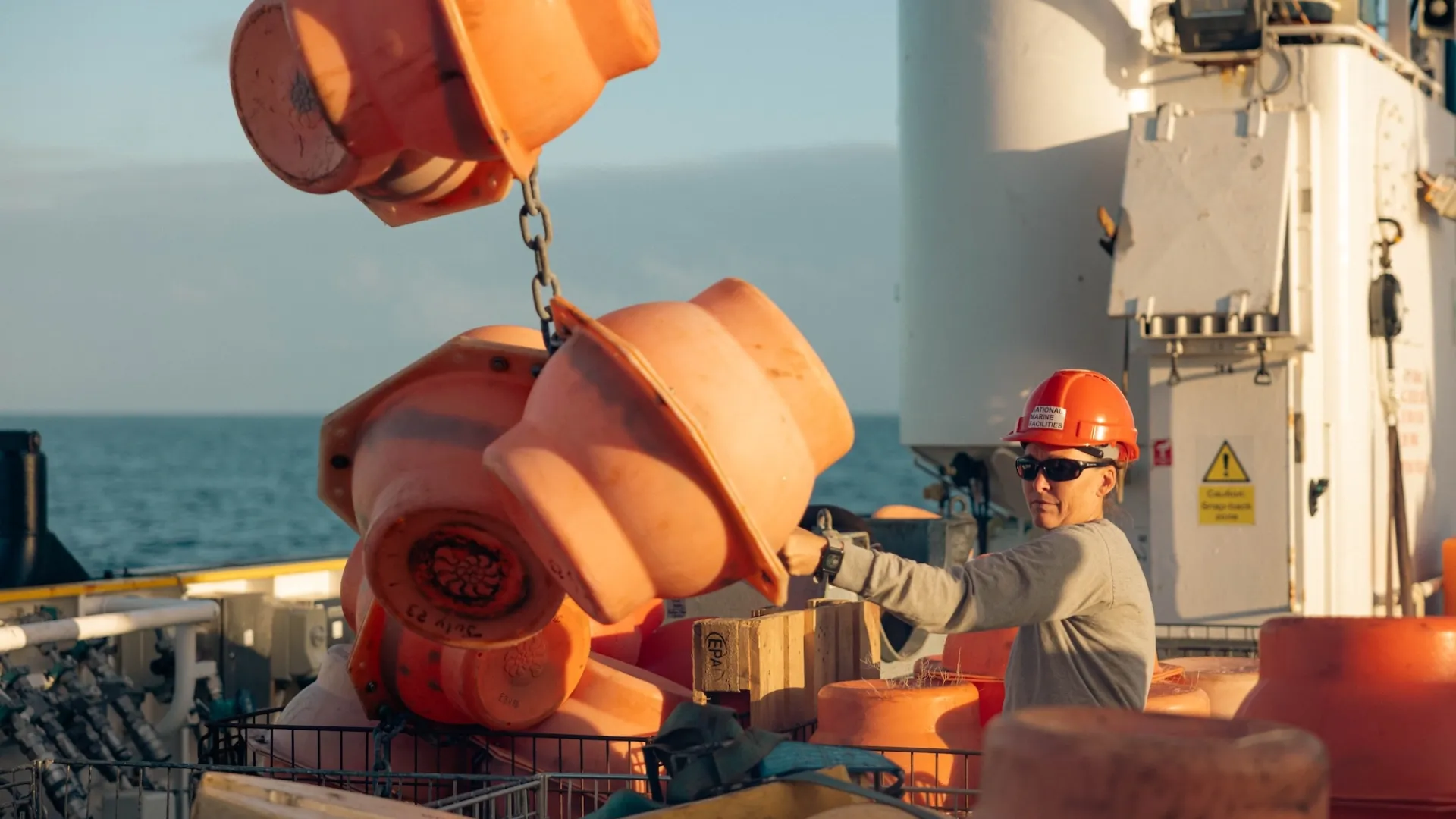 <p>RAPID-Evolution</p>
