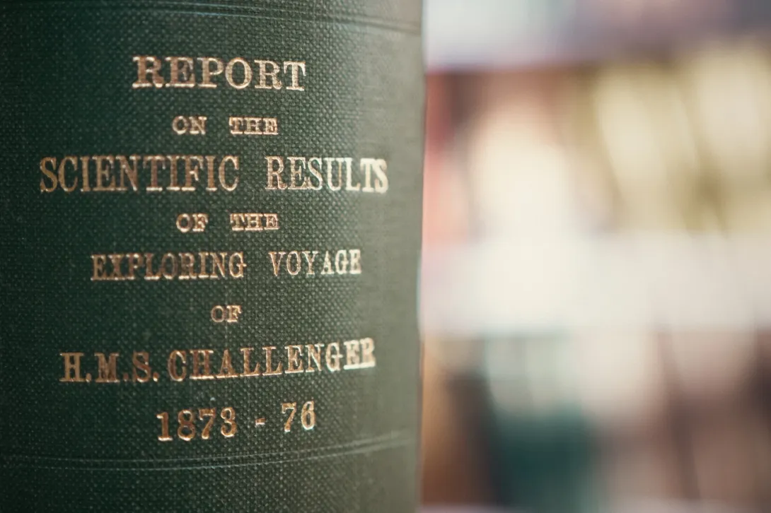 What groundbreaking discoveries were made?