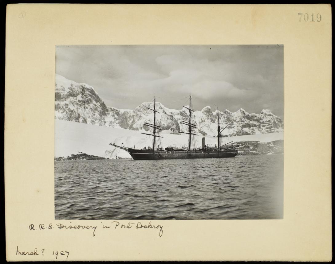 RRS Discovery in Port Lockroy (1927)