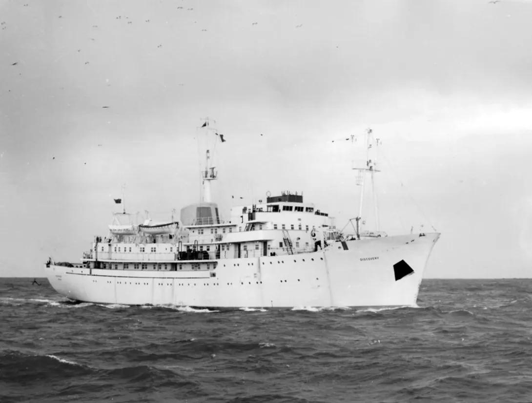 Pre-Refit RRS Discovery with White Hull