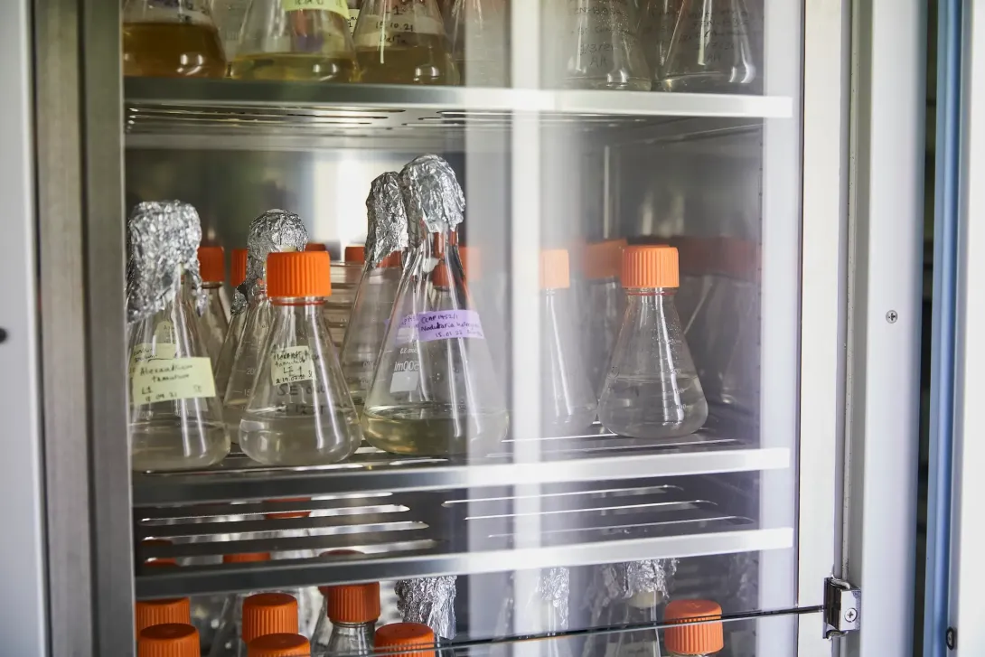 What Approach do we Take to Detecting Biological Threats?